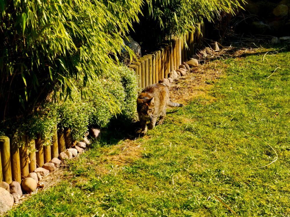 Palisádový obrubník